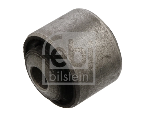 Mounting, control/trailing arm